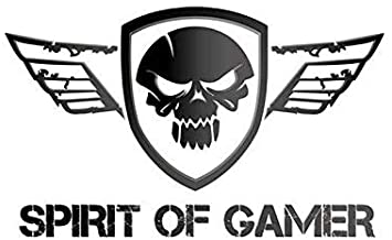 SPIRIT OF GAMER