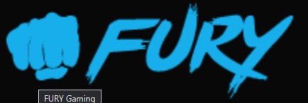 Fury Gaming